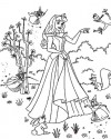 Sindirella Boyama (13)