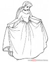 Sindirella Boyama (51)