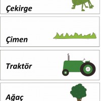 okul öncesinde kavramlar (158)