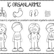 okul öncesinde kavramlar (21)