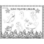 okul öncesinde kavramlar (39)