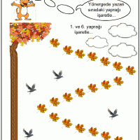 okul öncesinde kavramlar (60)