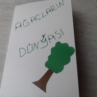 okul öncesınde okuma yazma çalişması (26)