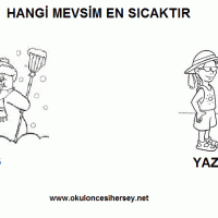 sayı kavramı,kare,sıcak -soğuk ,sağlıklı faydaları,yeni eski (33)