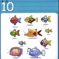 matematık etkinliği (10)