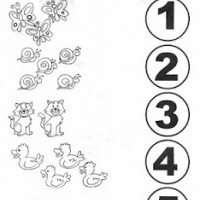 matematık etkinliği (67)