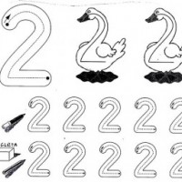 matematık etkinliği (74)