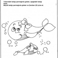 okul öncesınde zaman ,mekan ,zıt,boyut kavramlar (179)