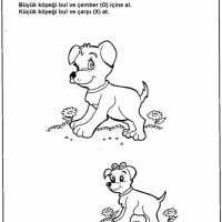 okul öncesınde zaman ,mekan ,zıt,boyut kavramlar (188)