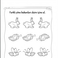okul öncesınde zaman ,mekan ,zıt,boyut kavramlar (221)