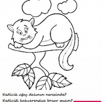 okul öncesınde zaman ,mekan ,zıt,boyut kavramlar (254)
