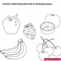okul oncesınde renkkavramı (5)