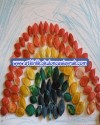kabak çekirdeğinden gök kuşağı