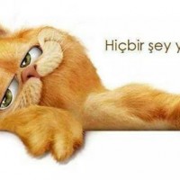 okul öncesınde artık materyal ,kağıt işleri (170)