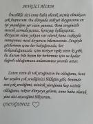 gelişim raporu süslemeleri (206)