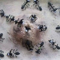 okul öncesınde kağit işler, duvar süsü ,davetiye kartları ,suluboya çalişması (4489)