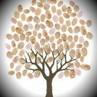 okul öncesınde kağit işler, duvar süsü ,davetiye kartları ,suluboya  çalişması (6455)