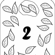 sayılar (14)
