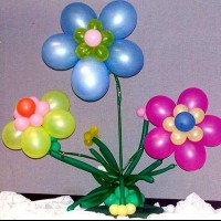 balon etkınlikleri (111)