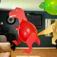 balon etkınlikleri (24)