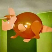 balon etkınlikleri (32)