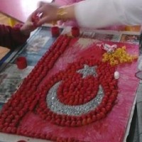 atatürk (8)