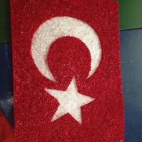 ataürk (26)