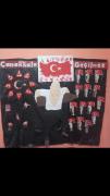 çanakkale zaferi (111)