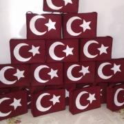 çanakkale zaferi (67)