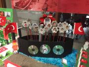 çanakkale zaferi (89)